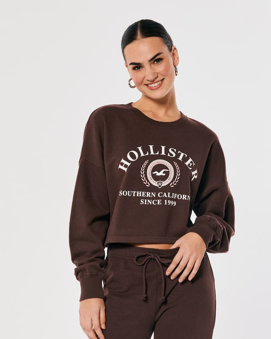 Hollister Graphic Brown Sweatshirt