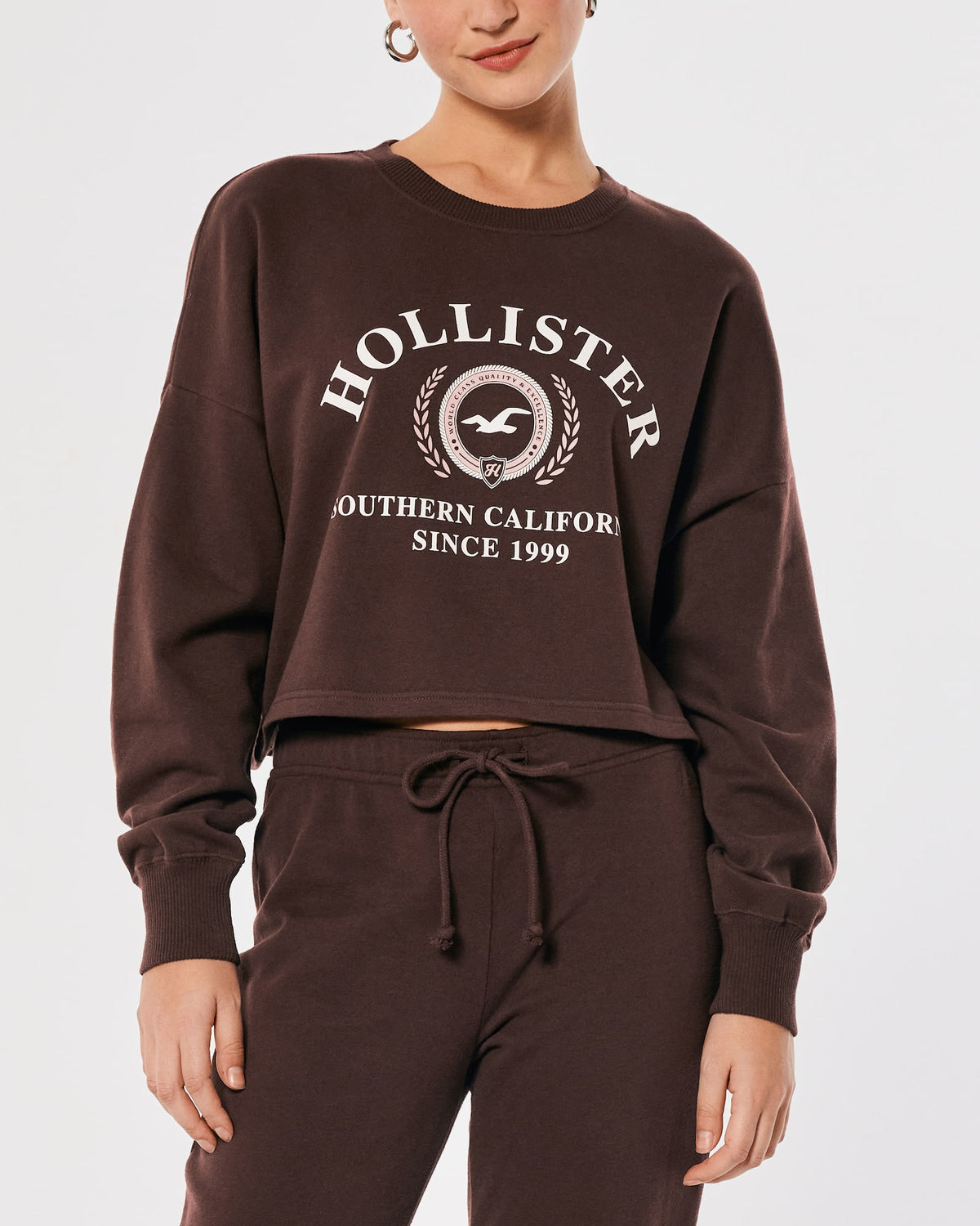 Hollister Graphic Brown Sweatshirt