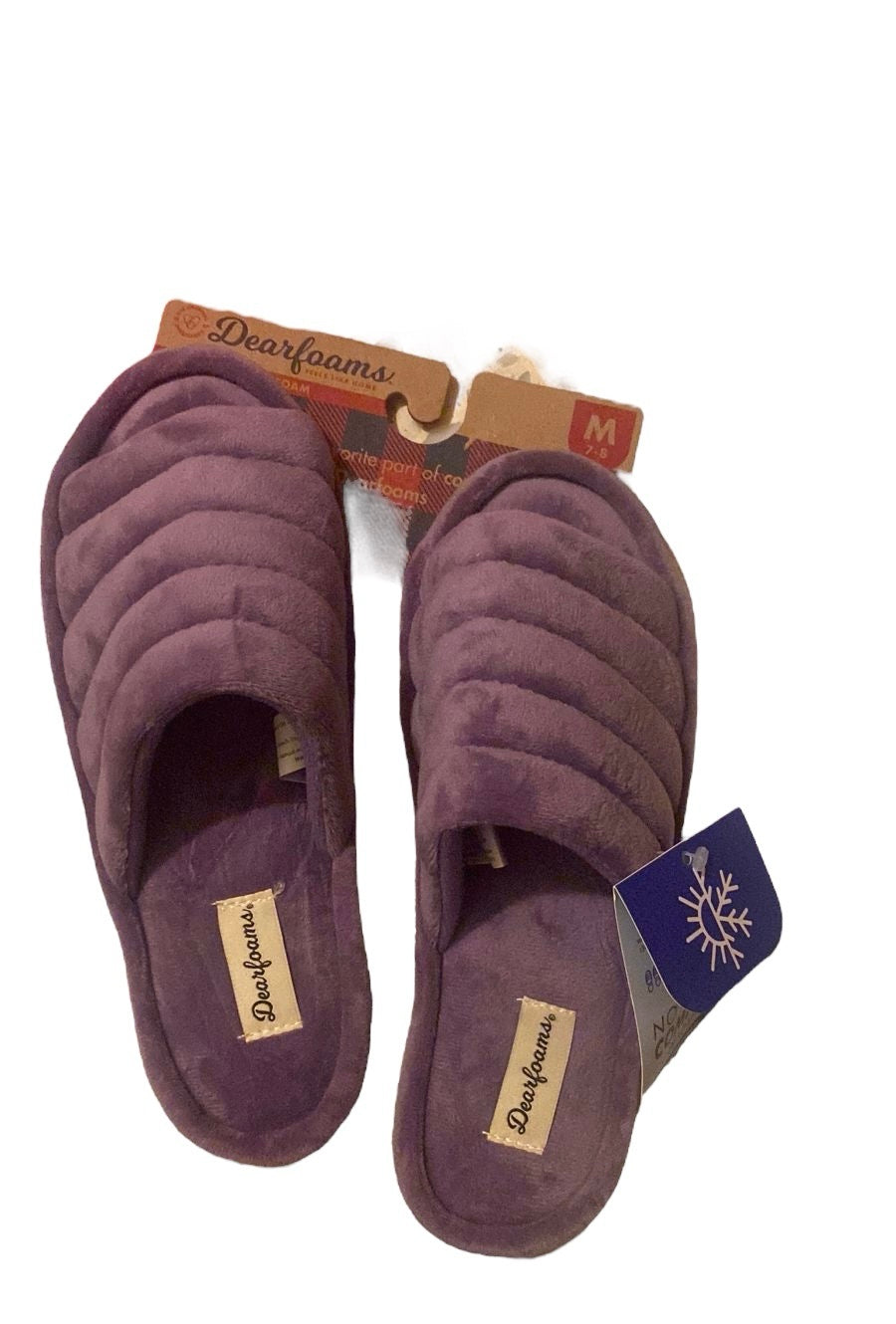 Dearfoam Slides